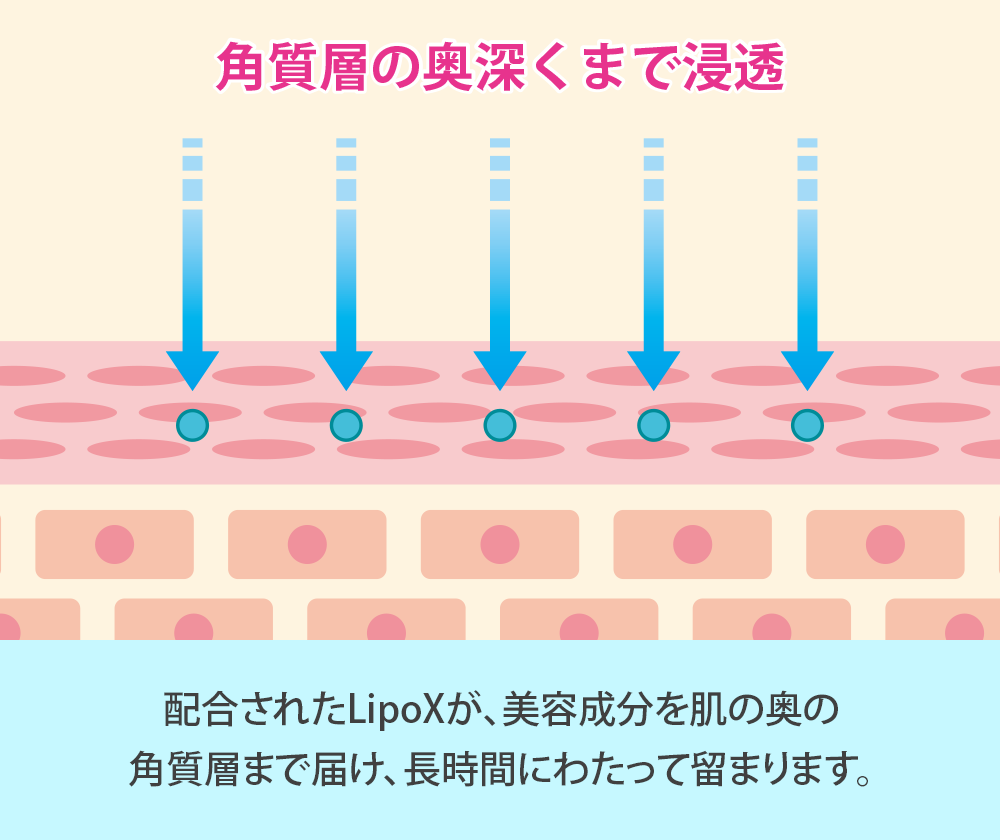 配合されたLipoXが、美容成分を肌の奥の 角質層まで届け、長時間にわたって留まります。